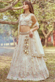 Tissue Silk Cream Beige Zari Embroidered Panelled Style Lehenga