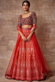 Tomato Red Embroidered Organza Flared Style Lehenga 