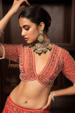 Tomato Red Silk Embroidered Panelled Style Lehenga