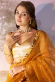 Turmeric Yellow Net Embroidered Shimmer Saree