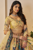 Turmeric Yellow Silk Blend Embroidered Panelled Lehenga 