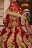 Velvet Deep Red Zari Embroidered Panelled Lehenga 