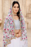 White Net Embroidered Saree