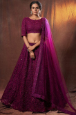 Wine Maroon Net Embroidered Indian Lehenga Blouse