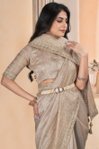 Woven Zari Grey Beige Silk Light Weight Saree