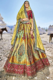 Woven Zari Multi Color Silk Panelled Style Lehenga 