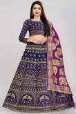 Woven Zari Navy Blue Lehenga Choli 
