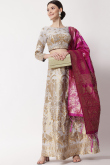 Woven Zari Silk Light Grey Panelled Style Lehenga 