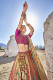 Woven Zari Silk Salmon Orange Panelled Style Lehenga