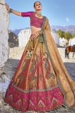 Woven Zari Silk Salmon Orange Panelled Style Lehenga