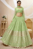 Zari Embroidered Lehenga in Pistachio Green