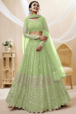 Zari Embroidered Lehenga in Pistachio Green