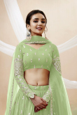 Zari Embroidered Lehenga in Pistachio Green