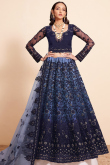 Zari Embroidered Net Navy Blue Panelled Style Lehenga