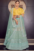 Zari Embroidered Organza Seafoam Green Lehenga