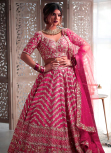 Ruby Pink Silk Embroidered Panelled Style Lehenga