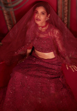 Embroidered Net Wine Maroon Panelled Style Lehenga 
