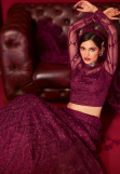 Embroidered Net Plum Purple Panelled Style Lehenga 