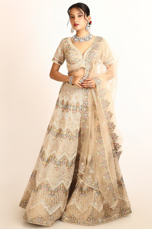 Dori Embroidered Net Oat Beige Panelled Style Lehenga