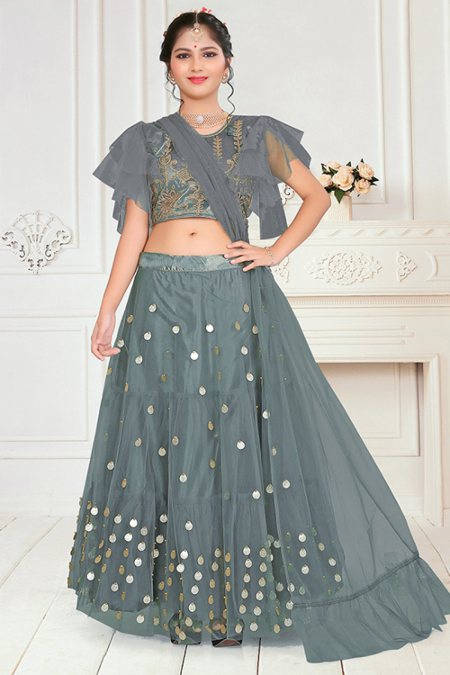Grey Net A Line Embroidered Lehenga