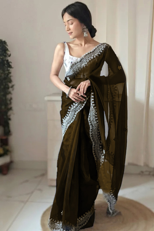 Silver Zari Embroidered Organza Brown Saree