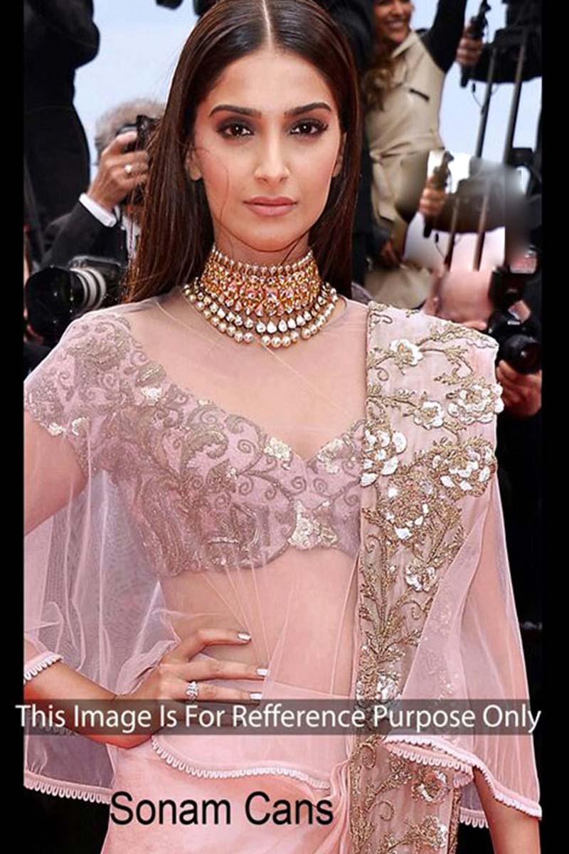 Sonam Kapoor Pink Net Saree With Silk Blouse