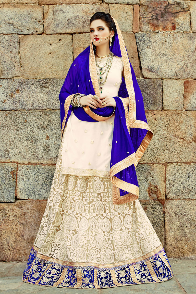 blue net lehenga choli with dupatta