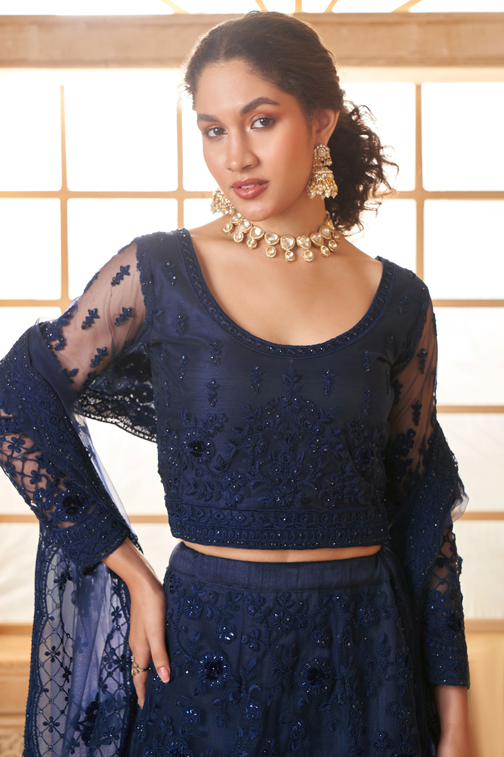 Navy Blue Net Stone Embellished Panelled Style Lehenga LLCV120328