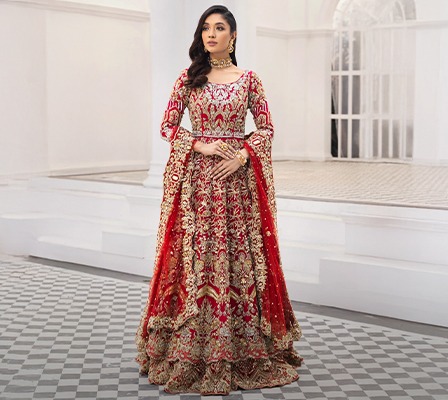 Online Indian Outfits Shop for Ladies